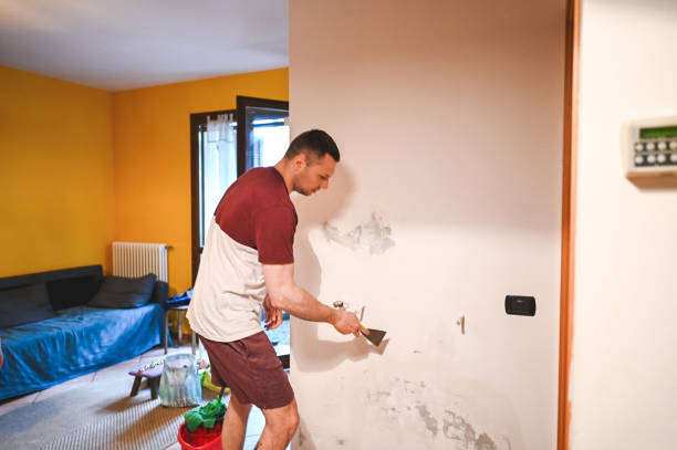 Attic Mold Removal in Canonsburg, PA